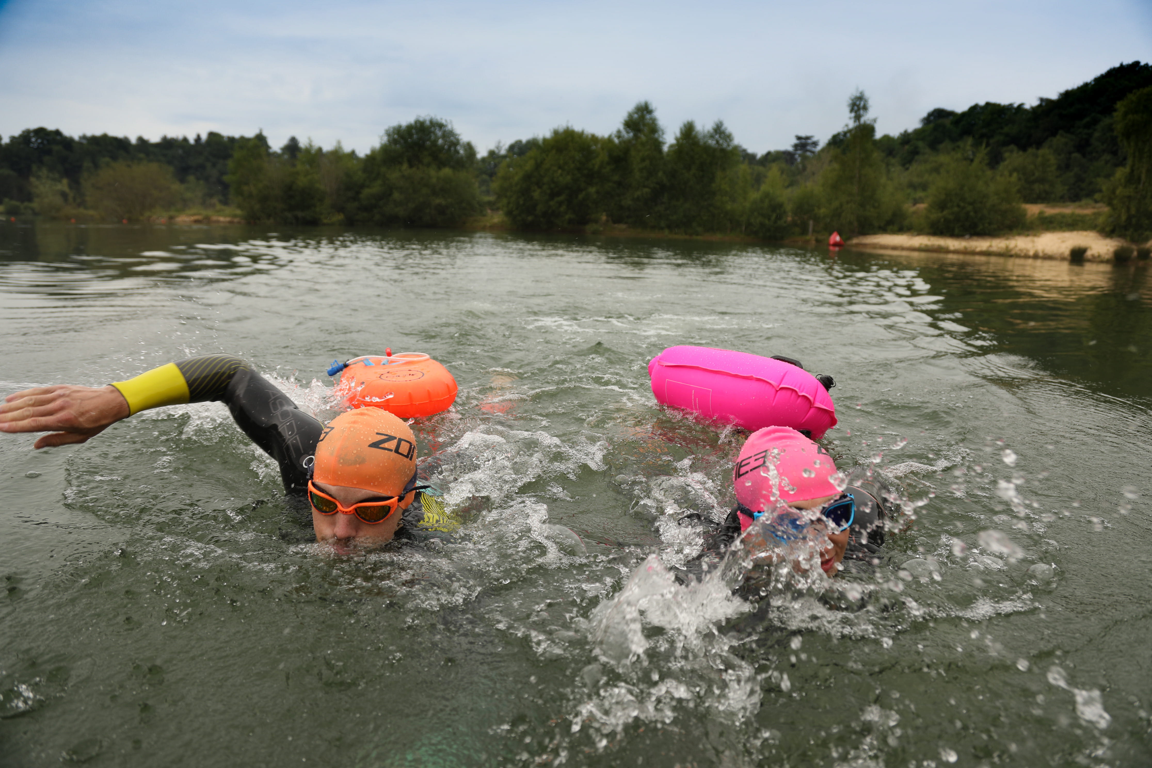 willowgate open water swimming